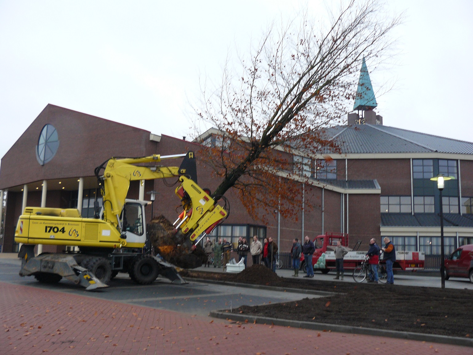 Project oude bomen verplanten